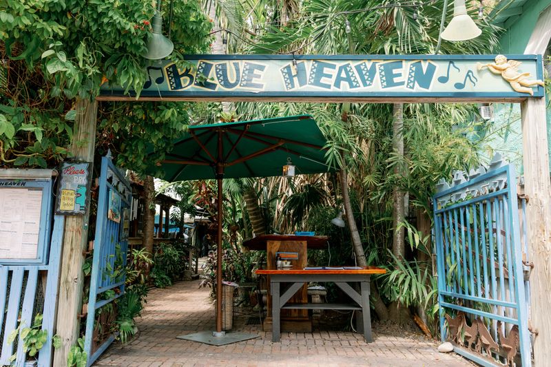 Florida's Blue Heaven