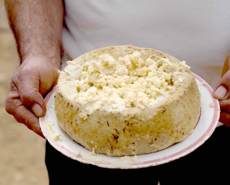Casu Marzu