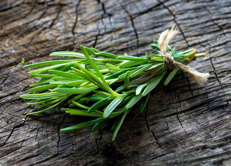 Rosemary