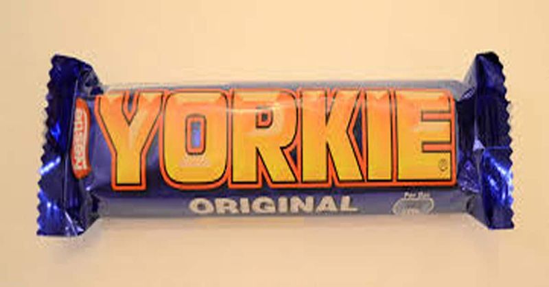 Yorkie