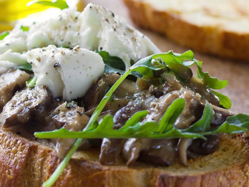 Truffle Mushroom Crostini