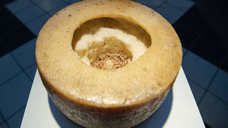 Casu Marzu
