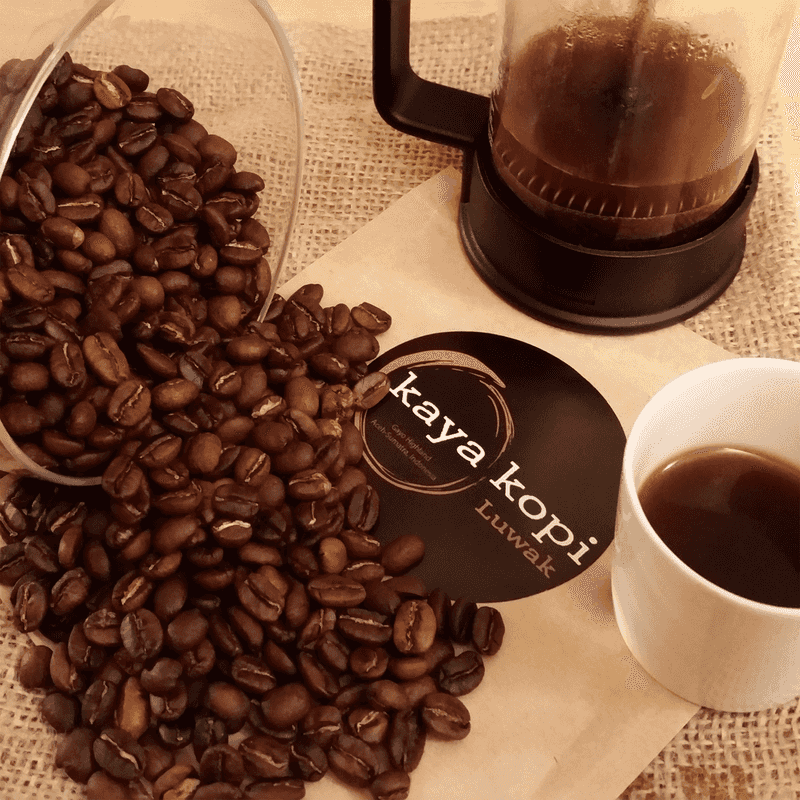 Kopi Luwak