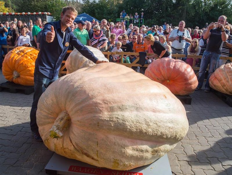 Amish Pie Squash