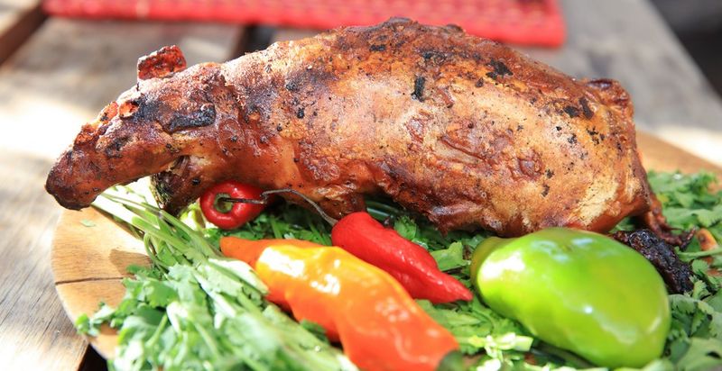 Cuy (Guinea Pig)