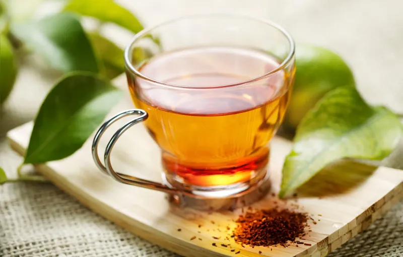 Rooibos Tea