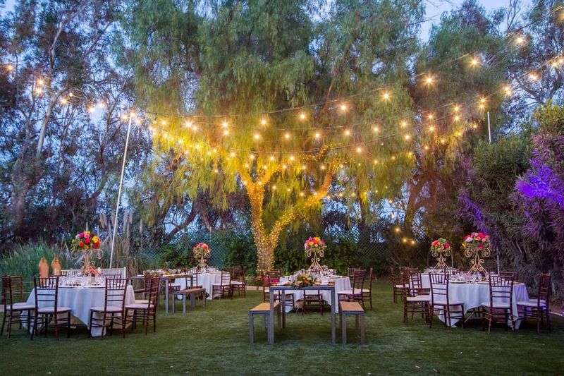 The Enchanted Orchard