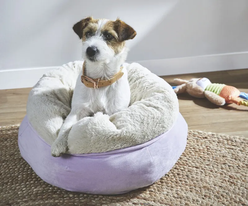 Pet Supplies