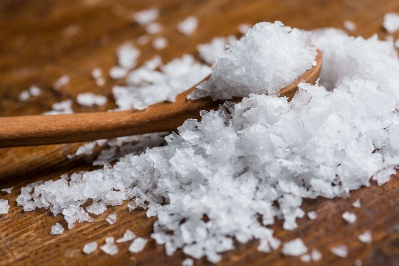 Sea Salt