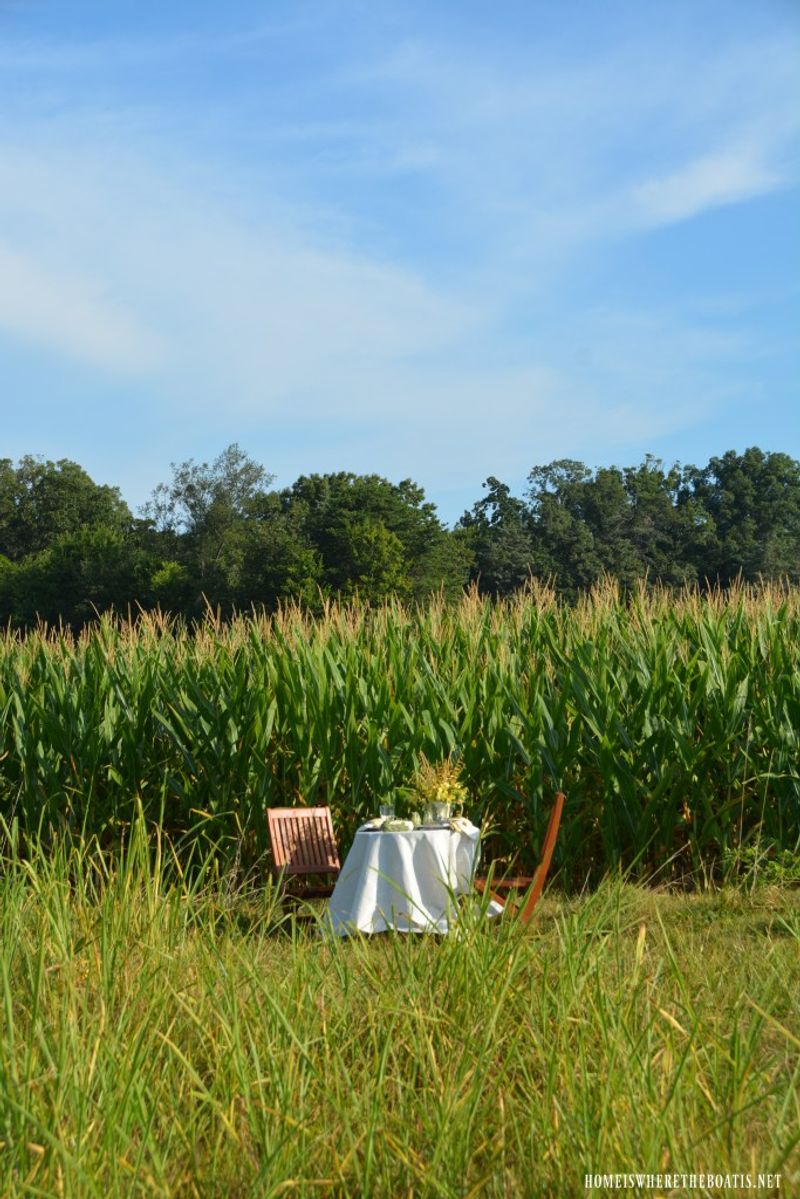 Iowa: Heartland Harvest