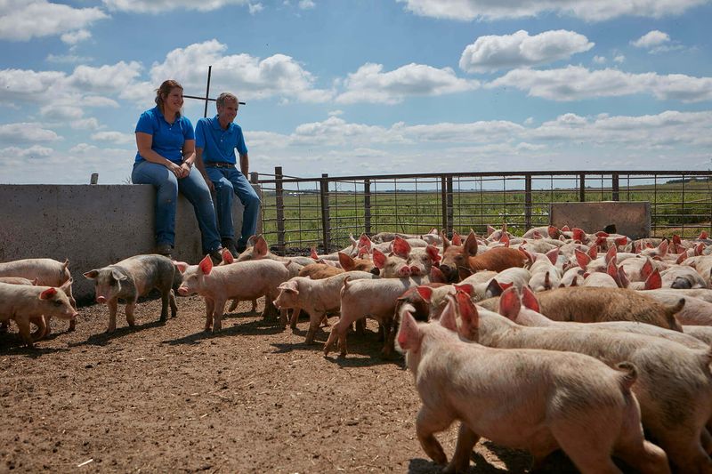 Kansas: Coleman Natural Foods