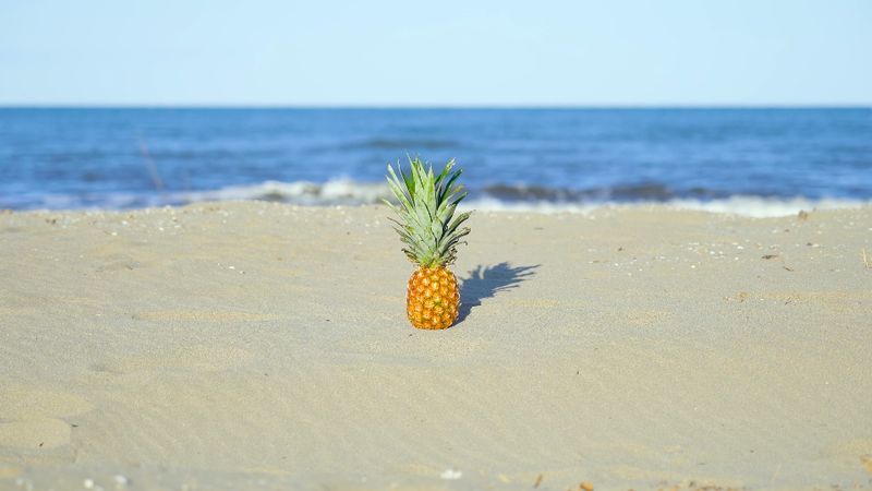 Pineapple