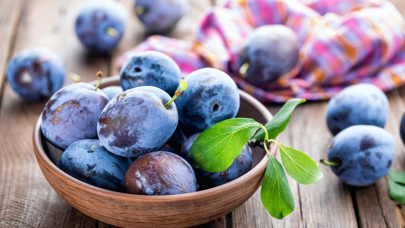 Plums
