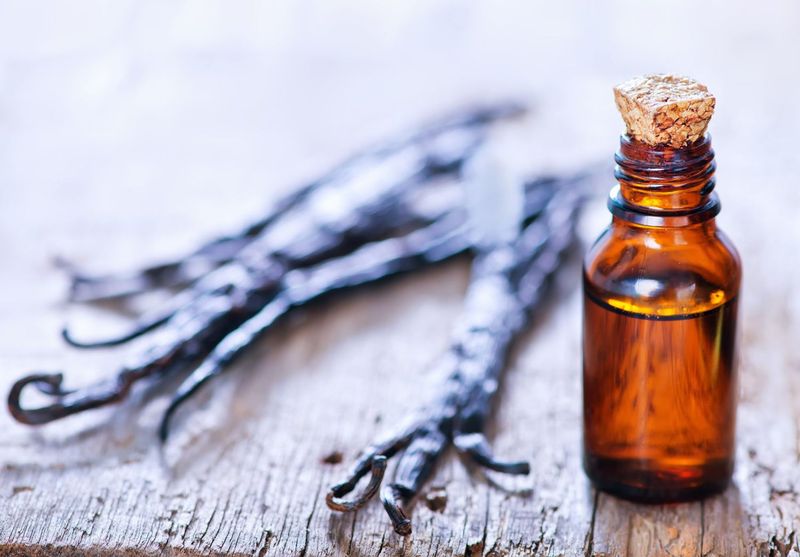 Vanilla Extract