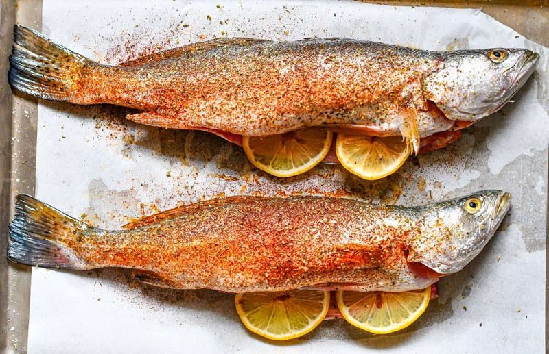 Brook Trout
