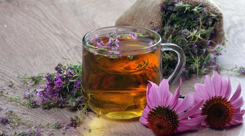 Echinacea Tea