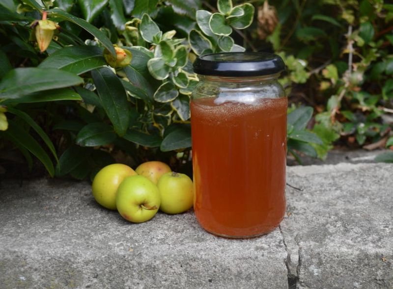 Elderflower Apple Jelly