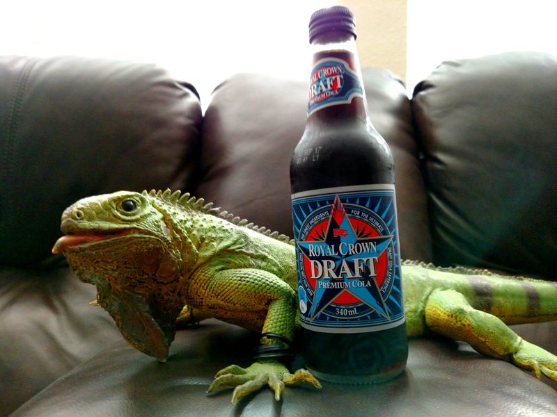 RC Draft Cola
