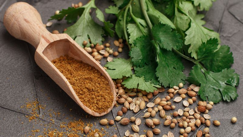 Coriander