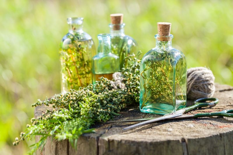 Herbal Oil Infusion