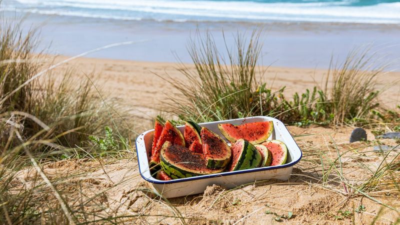 Fresh Watermelon Slices