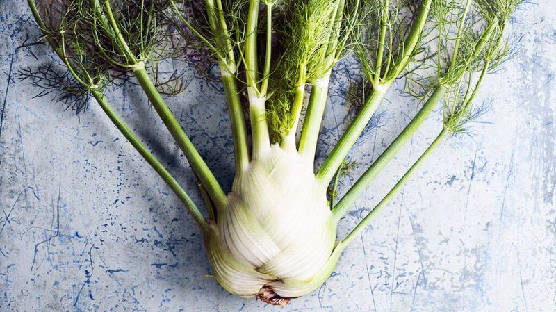 Fennel