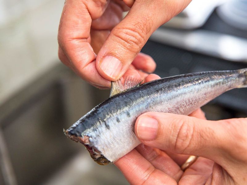 Discarding Sardine Bones