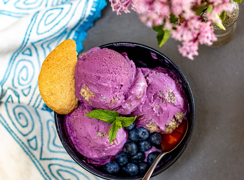 Blueberry Frozen Yogurt