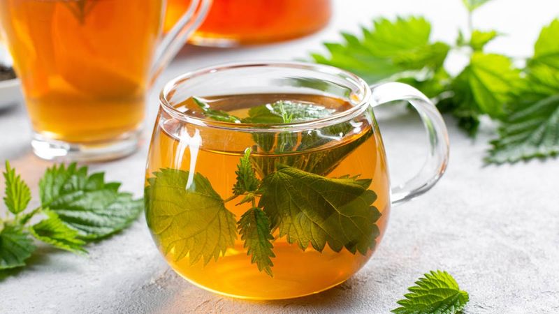 Nettle Tea