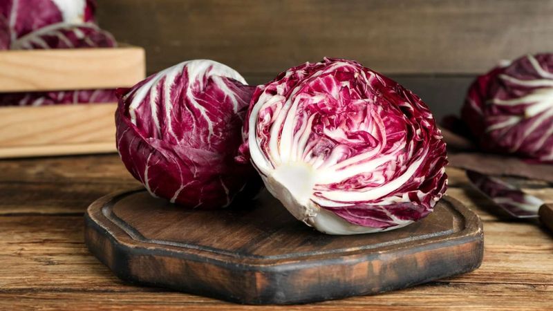 Radicchio