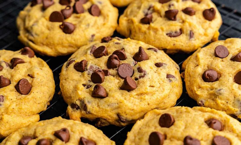 Pumpkin Chocolate Chip