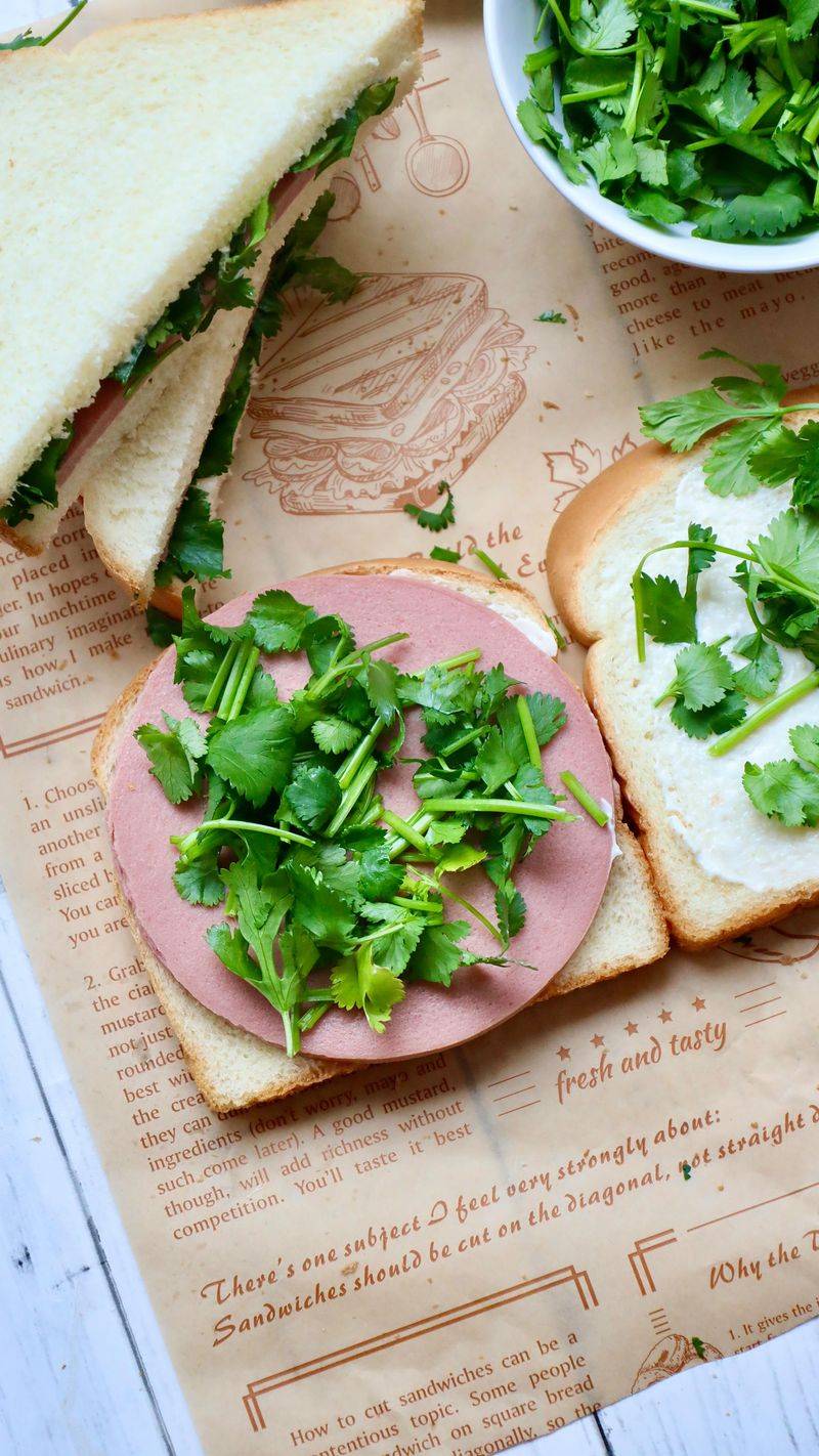 Bologna on White Bread