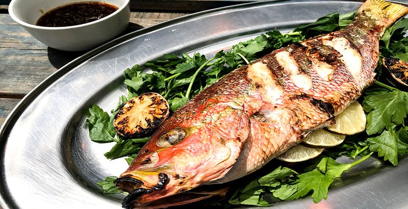 Grilled Snapper