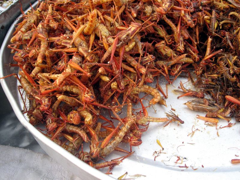 Fried Crickets