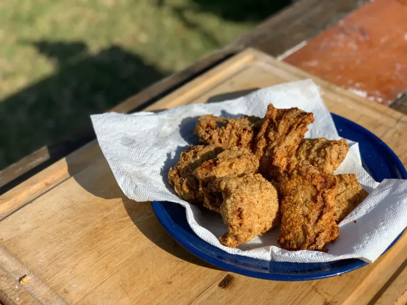 Fried Rattlesnake