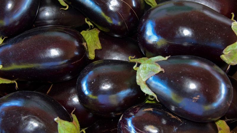Eggplants