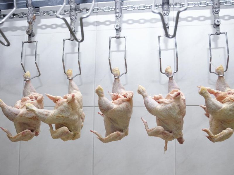 Chlorine-Washed Chicken