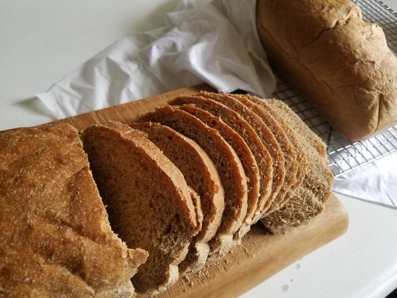 Protein Bread