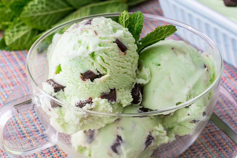 Mint Chocolate Chip Ice Cream