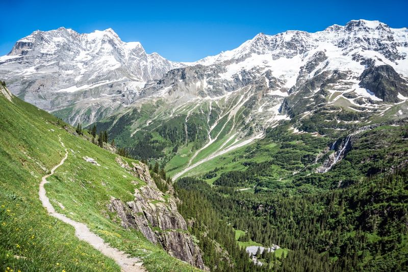 Alpine Salt