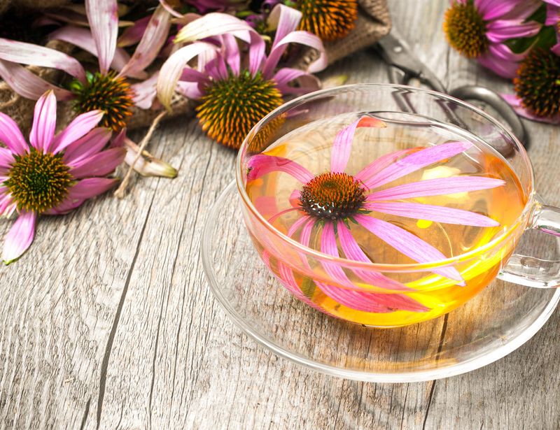 Echinacea Tea