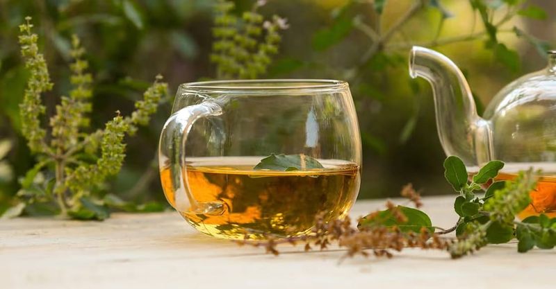 Tulsi Tea