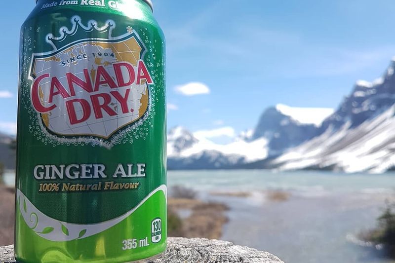 Ginger Ale Canada Dry