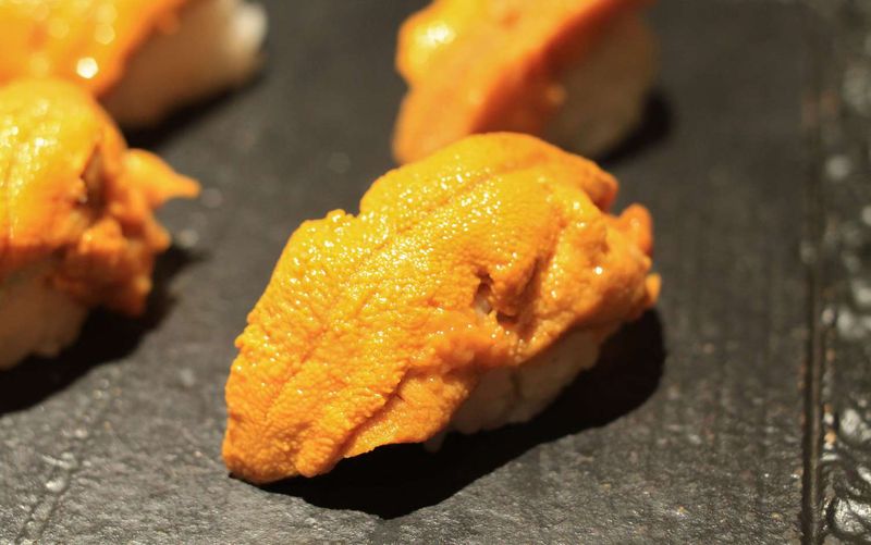 Sea Urchin (Uni)