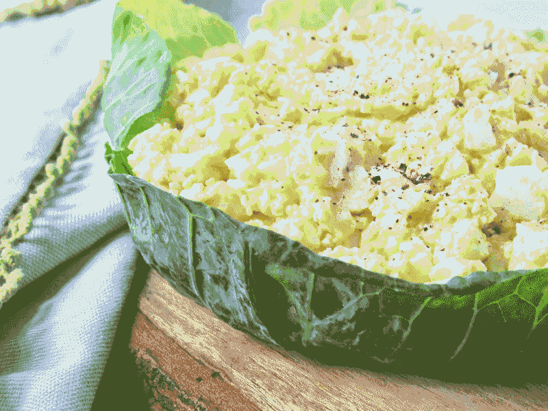 Cottage Cheese