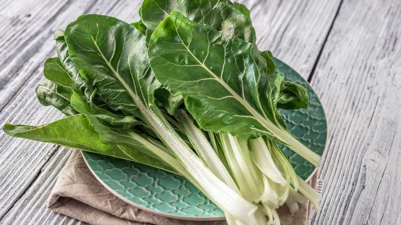 Chard