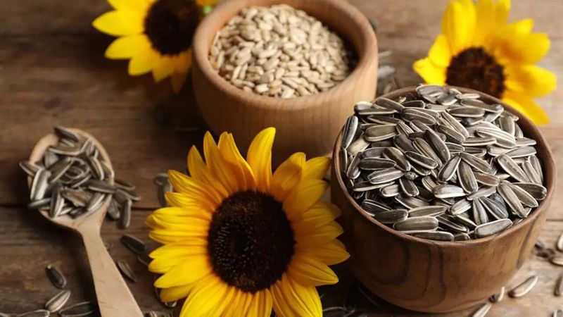 Sunflower Seeds