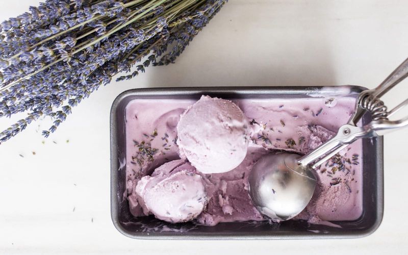 Blackberry Lavender Harmony