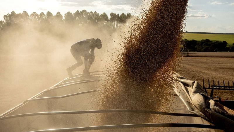 Soybeans
