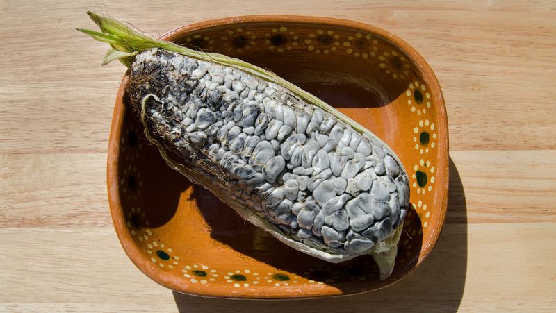 Huitlacoche